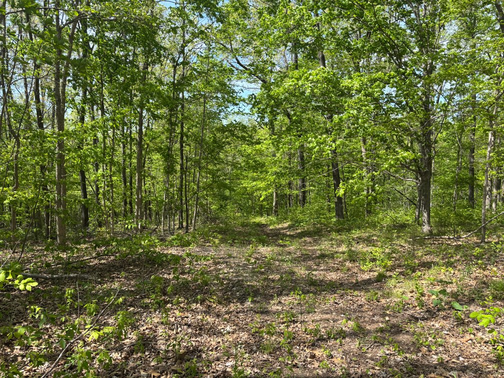 Image for Lots 120, 123-127 Rocky Ln, Perryville MO 63775, MLS#26024761