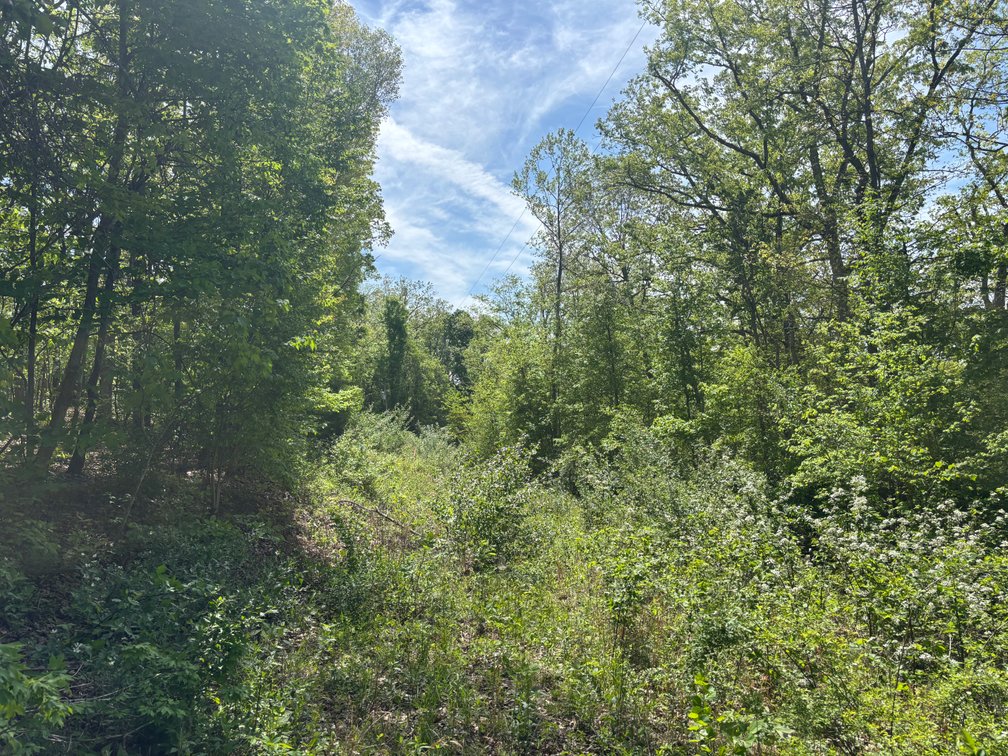 Image for Lots 120, 123-127 Rocky Ln, Perryville MO 63775, MLS#26024761