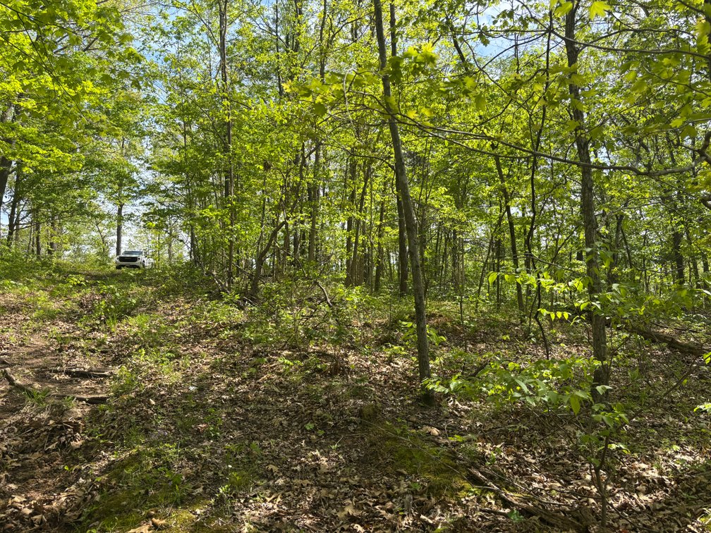 Image for Lots 120, 123-127 Rocky Ln, Perryville MO 63775, MLS#26024761