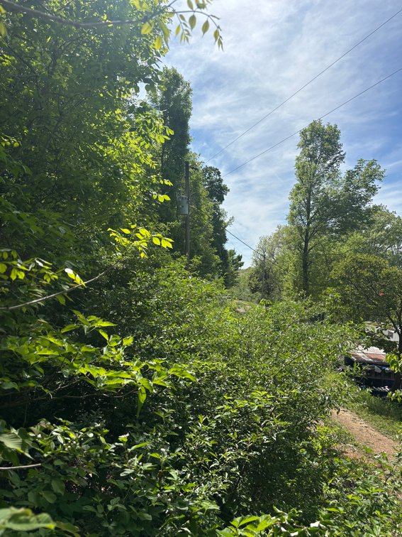 Image for Lots 120, 123-127 Rocky Ln, Perryville MO 63775, MLS#26024761