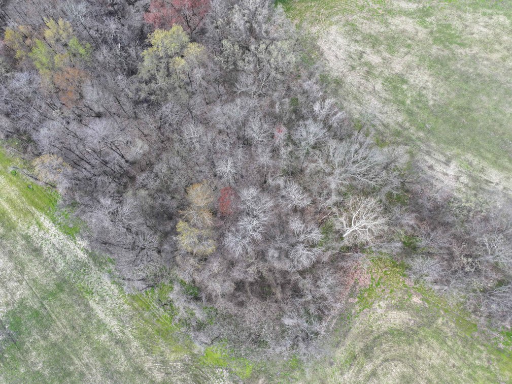 Image for Off US Hwy 67, Neelyville MO 63954, MLS #26024962