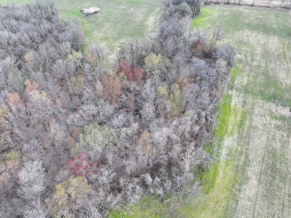Image for Off US Hwy 67, Neelyville MO 63954, MLS #26024962