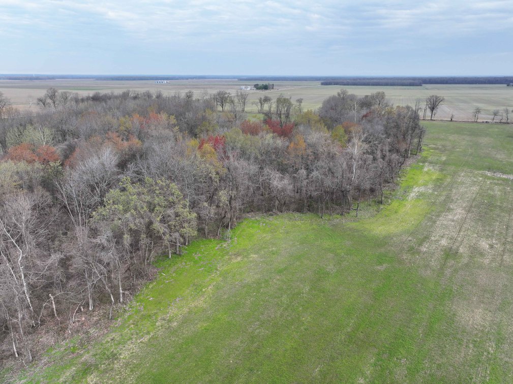 Image for Off US Hwy 67, Neelyville MO 63954, MLS #26024962