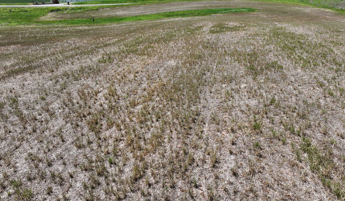 Image for 9.06 +/- Acres Off PCR 914, Perryville MO 63775