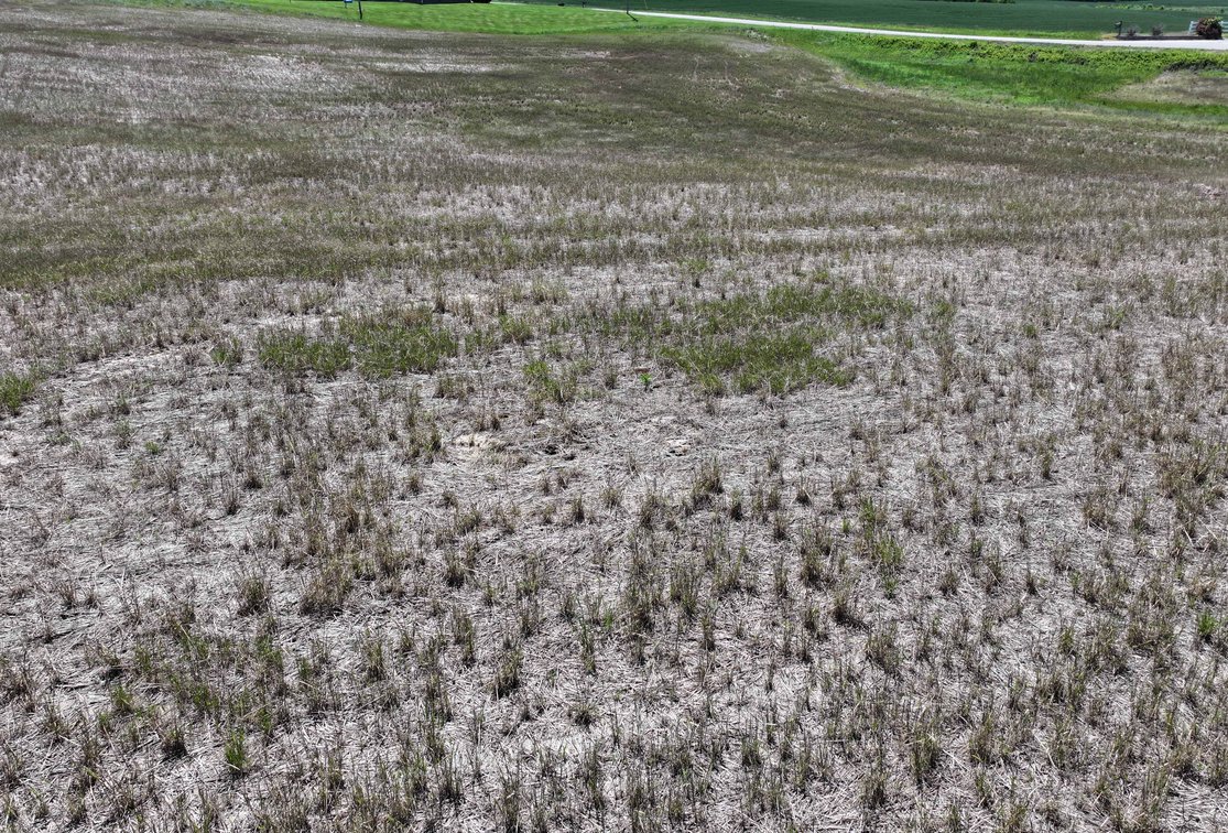 Image for 9.06 +/- Acres Off PCR 914, Perryville MO 63775