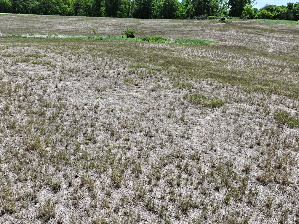 Image for 9.06 +/- Acres Off PCR 914, Perryville MO 63775