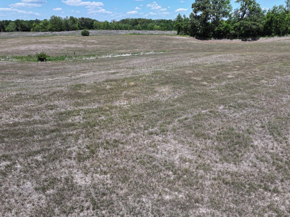 Image for 9.06 +/- Acres Off PCR 914, Perryville MO 63775