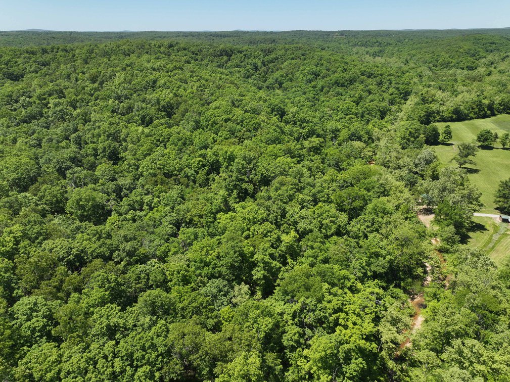 Image for 46.5 Ac +/-, Tract 3 BCR 930, Patton, MO 63662, MLS #26030011