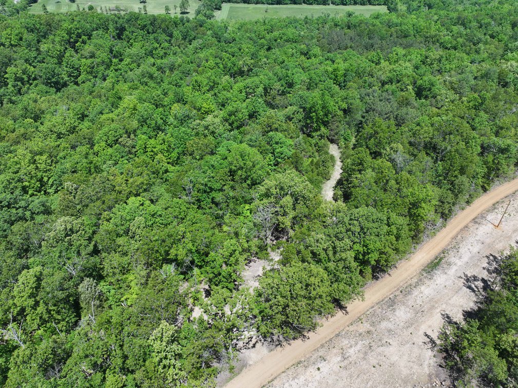 Image for 46.5 Ac +/-, Tract 3 BCR 930, Patton, MO 63662, MLS #26030011