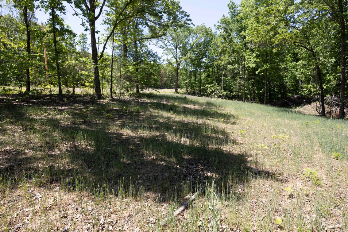 Image for 46.5 Ac +/-, Tract 3 BCR 930, Patton, MO 63662, MLS #26030011