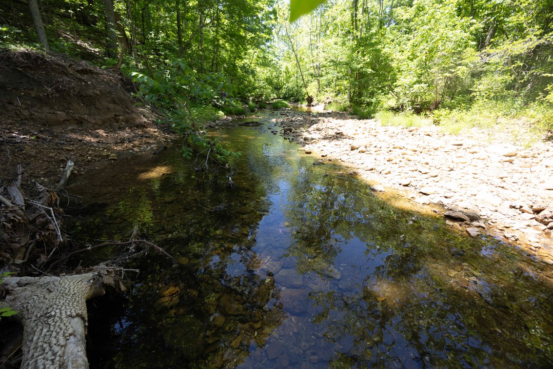 Image for 46.5 Ac +/-, Tract 3 BCR 930, Patton, MO 63662, MLS #26030011