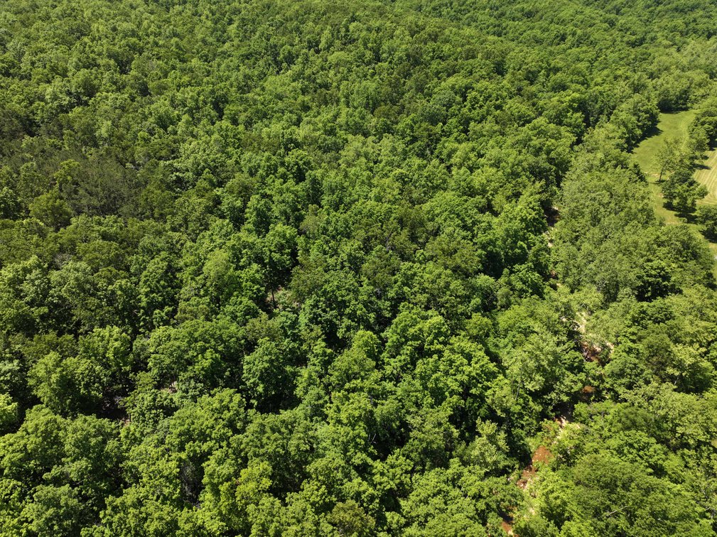 Image for 46.5 Ac +/-, Tract 3 BCR 930, Patton, MO 63662, MLS #26030011