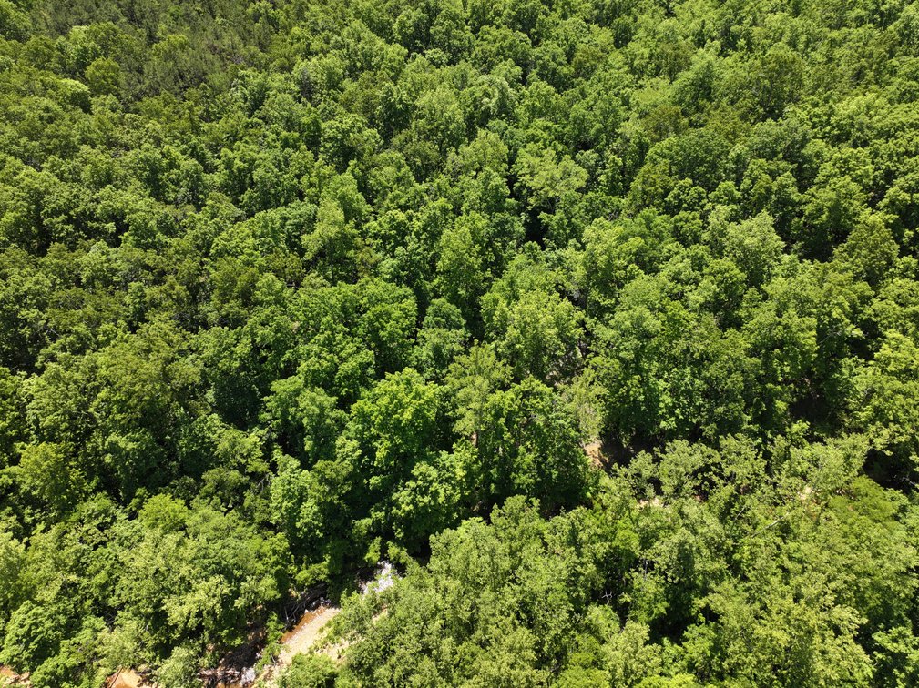 Image for 46.5 Ac +/-, Tract 3 BCR 930, Patton, MO 63662, MLS #26030011