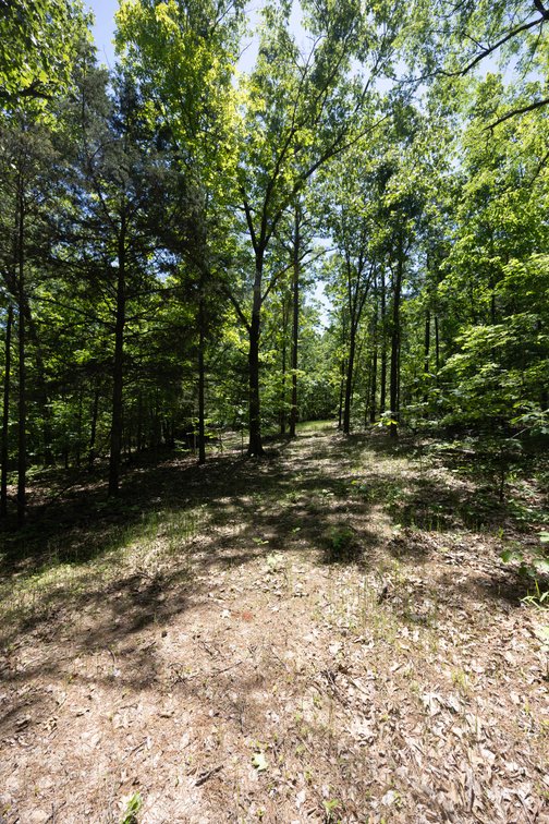 Image for 46.5 Ac +/-, Tract 3 BCR 930, Patton, MO 63662, MLS #26030011