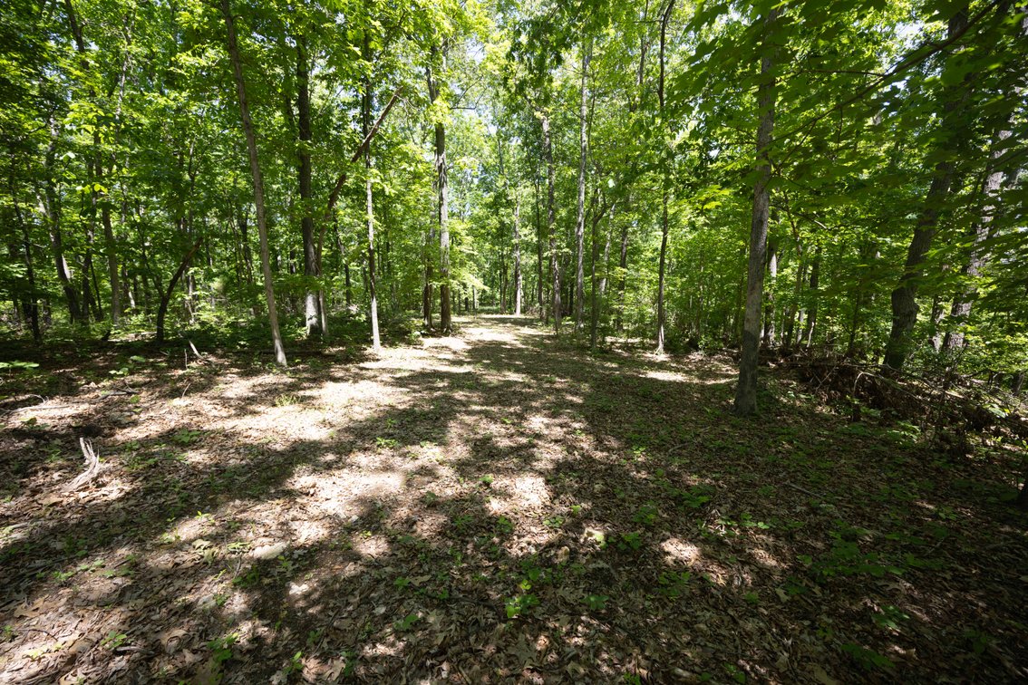 Image for 46.5 Ac +/-, Tract 3 BCR 930, Patton, MO 63662, MLS #26030011