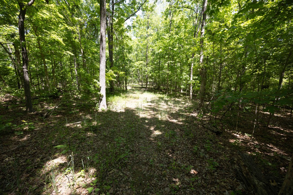 Image for 46.5 Ac +/-, Tract 3 BCR 930, Patton, MO 63662, MLS #26030011
