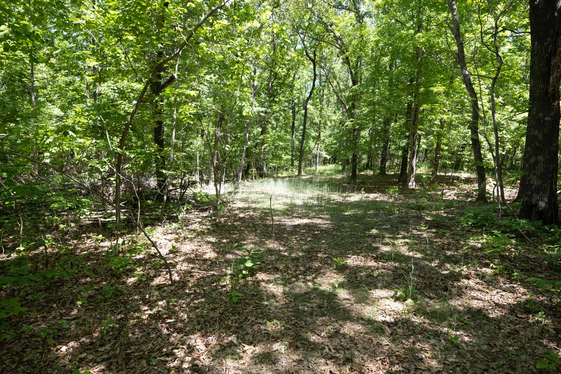 Image for 46.5 Ac +/-, Tract 3 BCR 930, Patton, MO 63662, MLS #26030011