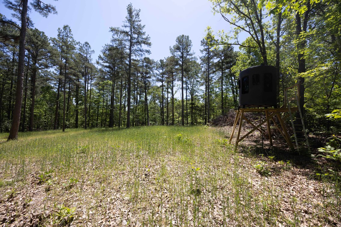 Image for 46.5 Ac +/-, Tract 3 BCR 930, Patton, MO 63662, MLS #26030011