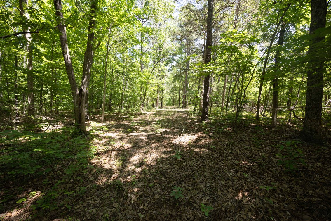 Image for 46.5 Ac +/-, Tract 3 BCR 930, Patton, MO 63662, MLS #26030011