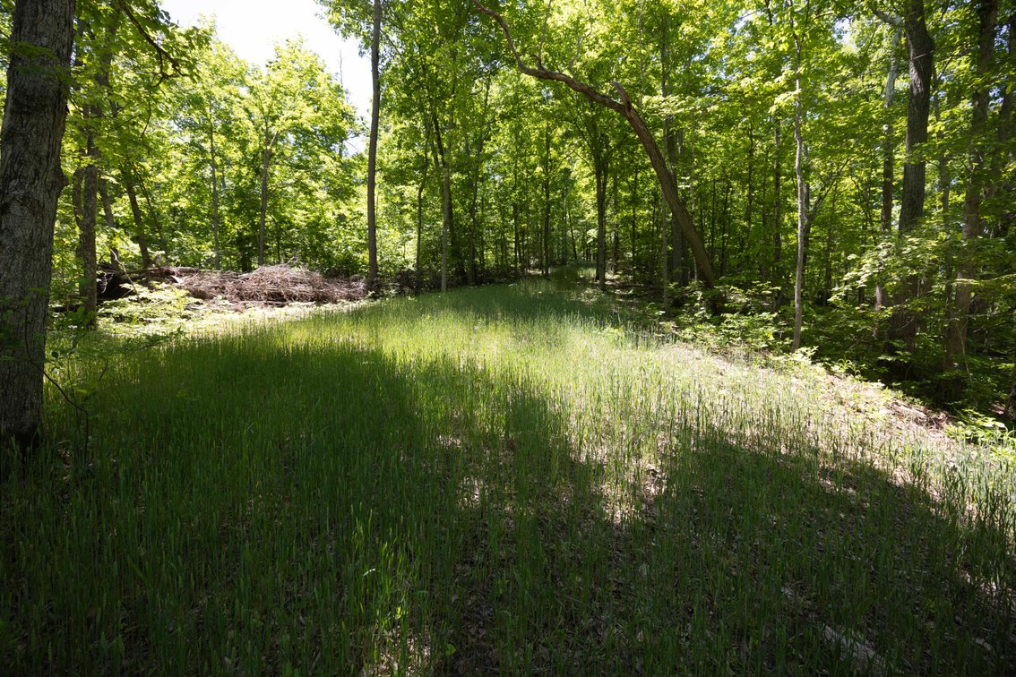 Image for 46.5 Ac +/-, Tract 3 BCR 930, Patton, MO 63662, MLS #26030011