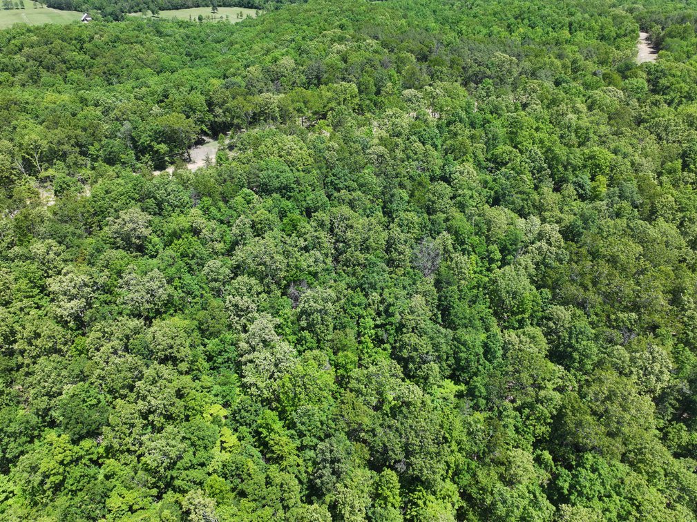 Image for 21.1 Ac +/-, Tract 4 BCR 930, Patton , MO 63662, MLS #26030017