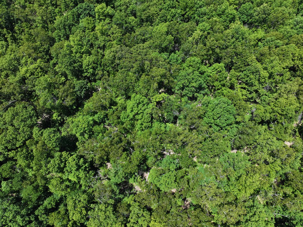 Image for 21.1 Ac +/-, Tract 4 BCR 930, Patton , MO 63662, MLS #26030017
