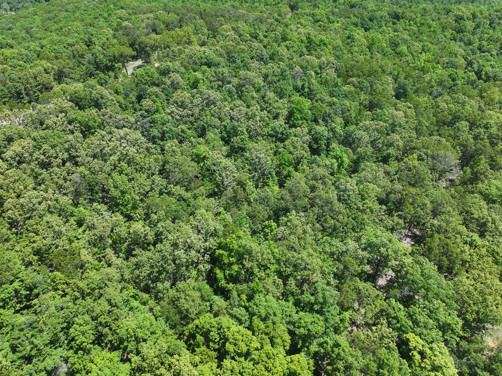 Image for 21.1 Ac +/-, Tract 4 BCR 930, Patton , MO 63662, MLS #26030017