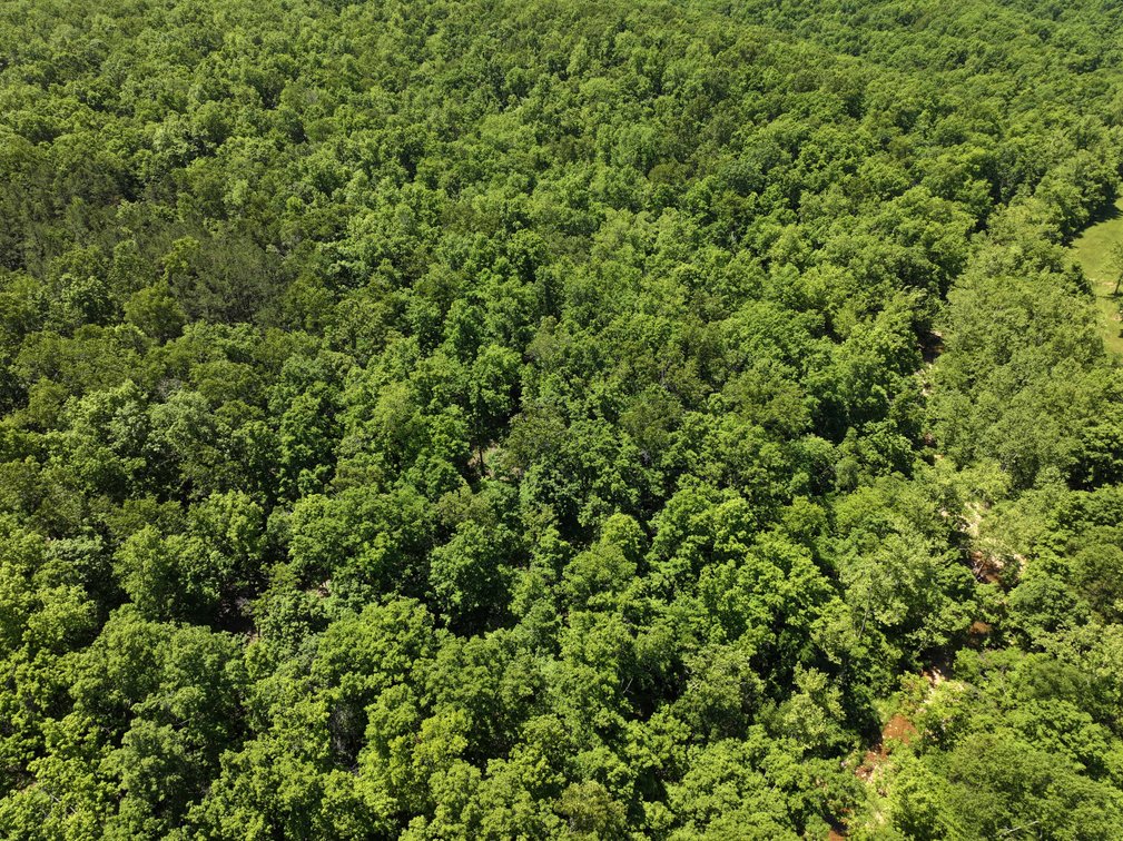 Image for 21.1 Ac +/-, Tract 4 BCR 930, Patton , MO 63662, MLS #26030017