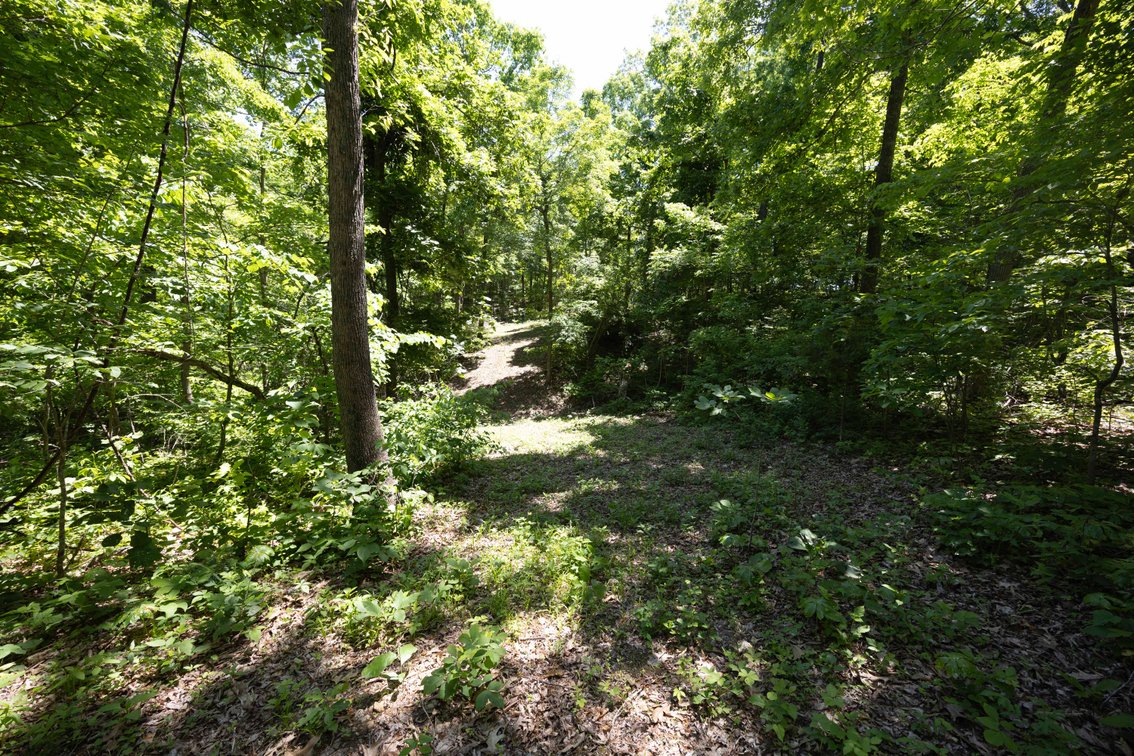 Image for 21.1 Ac +/-, Tract 4 BCR 930, Patton , MO 63662, MLS #26030017