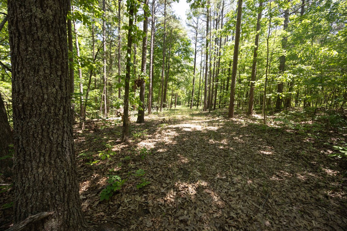 Image for 21.1 Ac +/-, Tract 4 BCR 930, Patton , MO 63662, MLS #26030017
