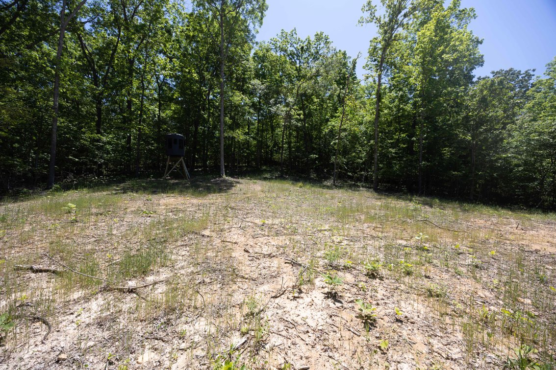Image for 21.1 Ac +/-, Tract 4 BCR 930, Patton , MO 63662, MLS #26030017