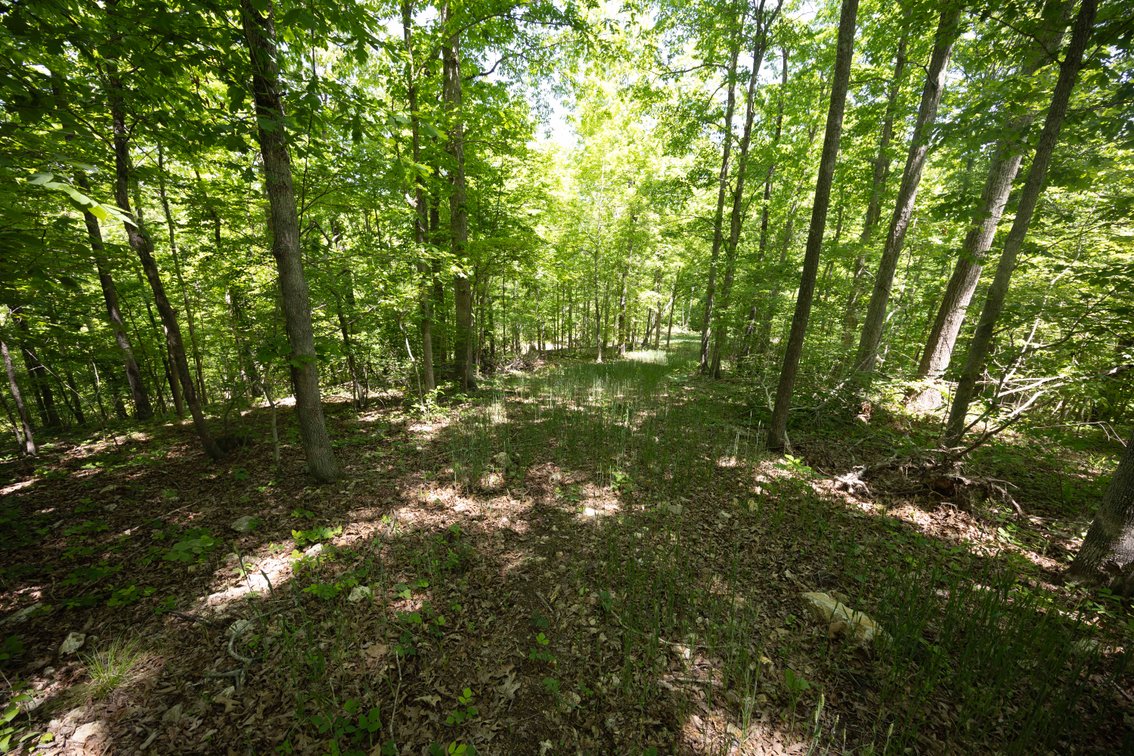 Image for 21.1 Ac +/-, Tract 4 BCR 930, Patton , MO 63662, MLS #26030017