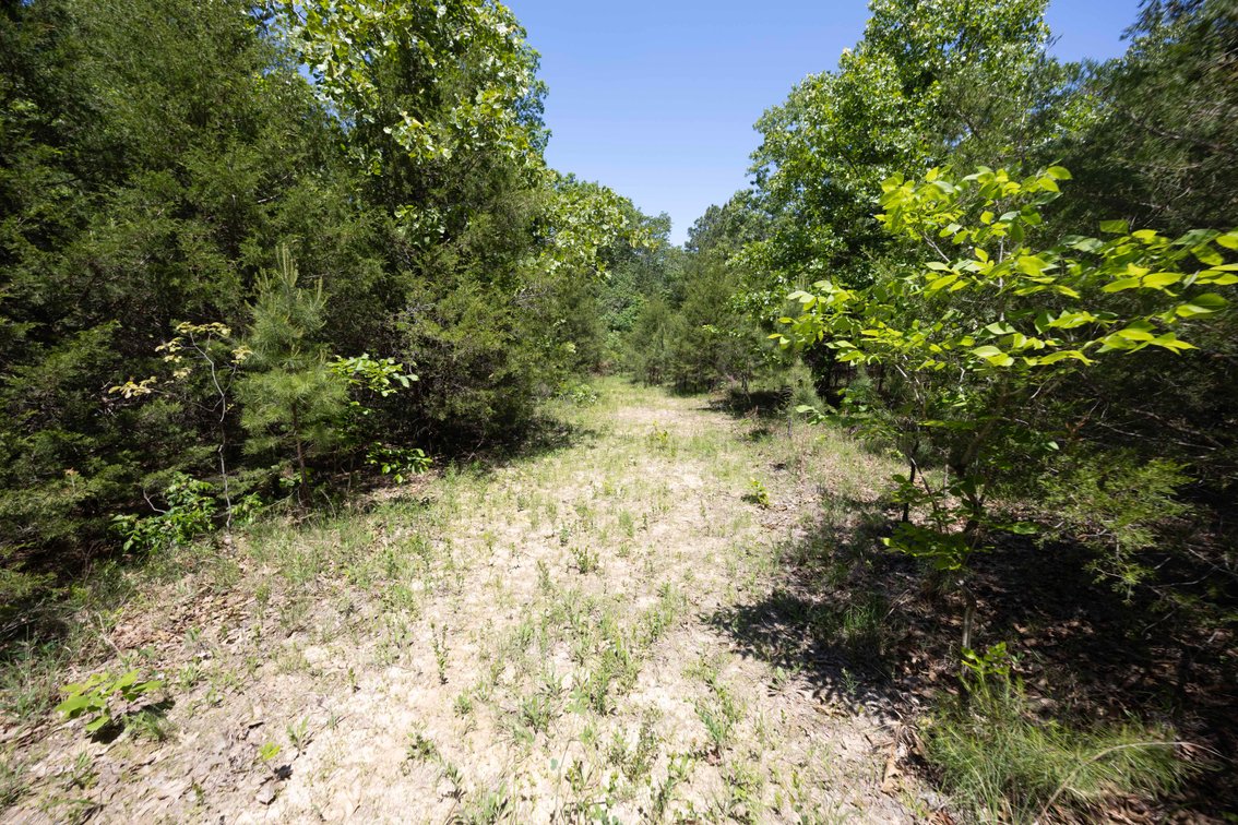 Image for 21.1 Ac +/-, Tract 4 BCR 930, Patton , MO 63662, MLS #26030017