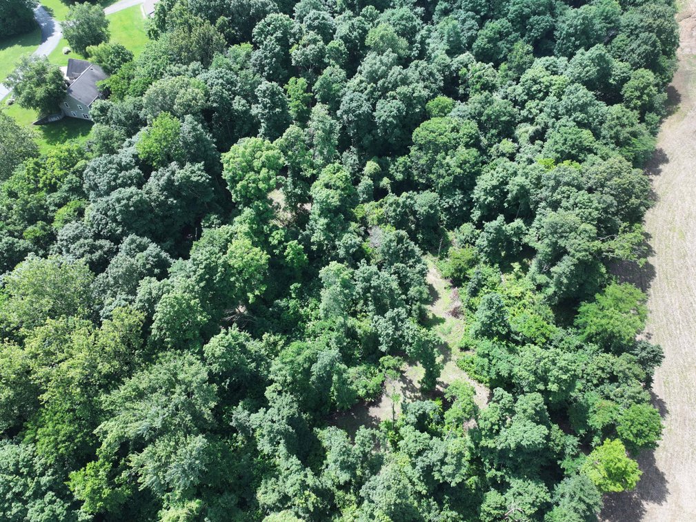 Image for 23.29 Acres State Highway 34, Jackson, MO 63755, MLS #26038042