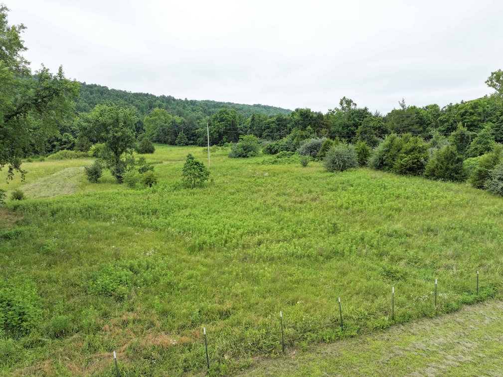 Image for 12607 Highway N, Middlebrook, MO 63656, MLS #26040679