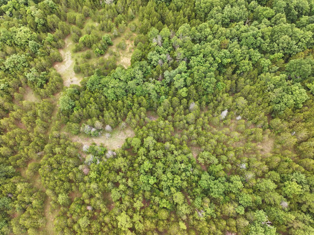 Image for 12607 Highway N, Middlebrook, MO 63656, MLS #26040679