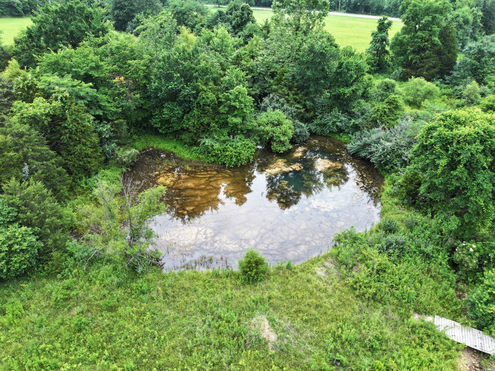 Image for 12607 Highway N, Middlebrook, MO 63656, MLS #26040679