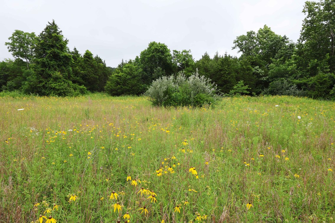 Image for 12607 Highway N, Middlebrook, MO 63656, MLS #26040679