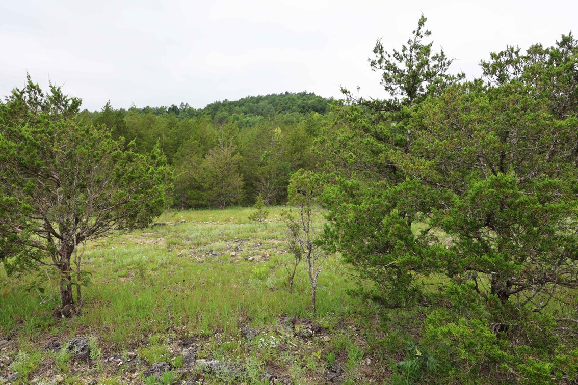 Image for 12607 Highway N, Middlebrook, MO 63656, MLS #26040679