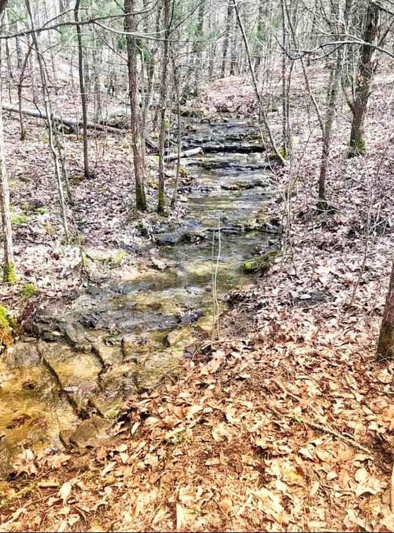 Image for 12607 Highway N, Middlebrook, MO 63656, MLS #26040679