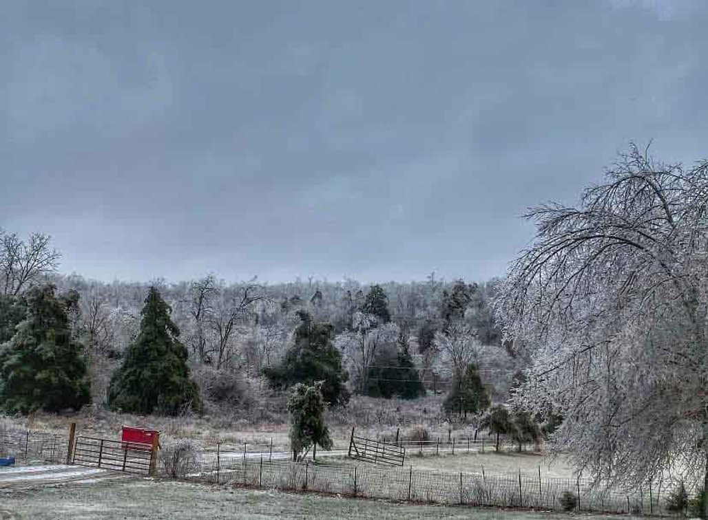 Image for 12607 Highway N, Middlebrook, MO 63656, MLS #26040679