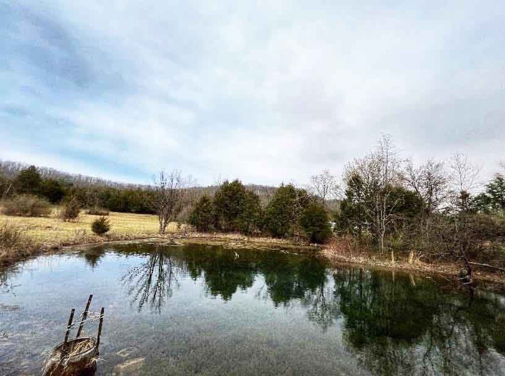 Image for 12607 Highway N, Middlebrook, MO 63656, MLS #26040679