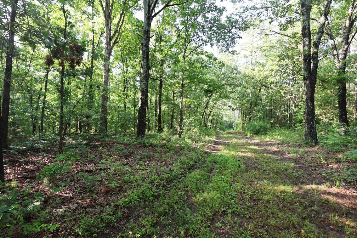 Image for 29259 State Highway O, Marquand, MO 63655