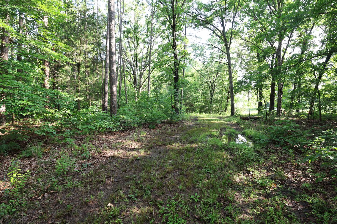 Image for 29259 State Highway O, Marquand, MO 63655