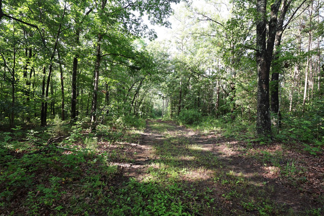 Image for 29259 State Highway O, Marquand, MO 63655