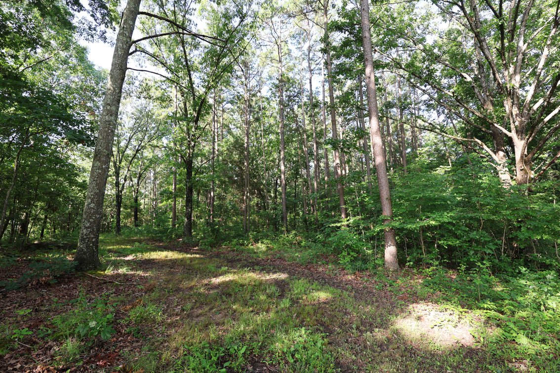 Image for 29259 State Highway O, Marquand, MO 63655