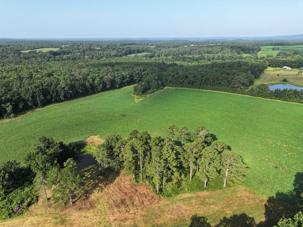 Image for 29259 State Highway O, Marquand, MO 63655