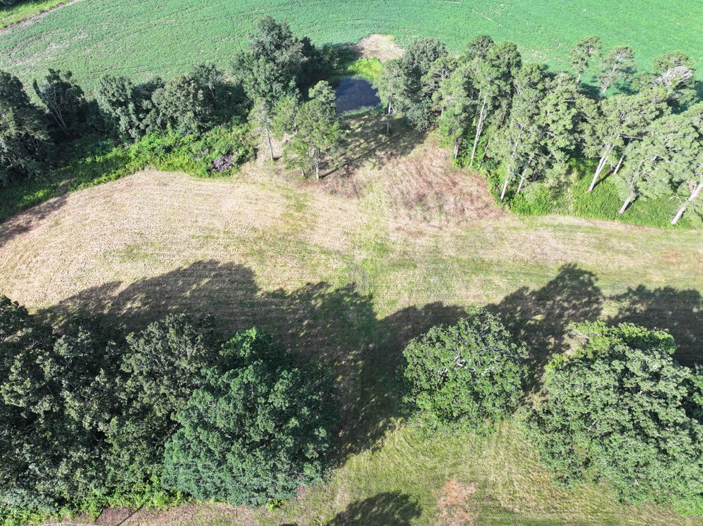 Image for 29259 State Highway O, Marquand, MO 63655