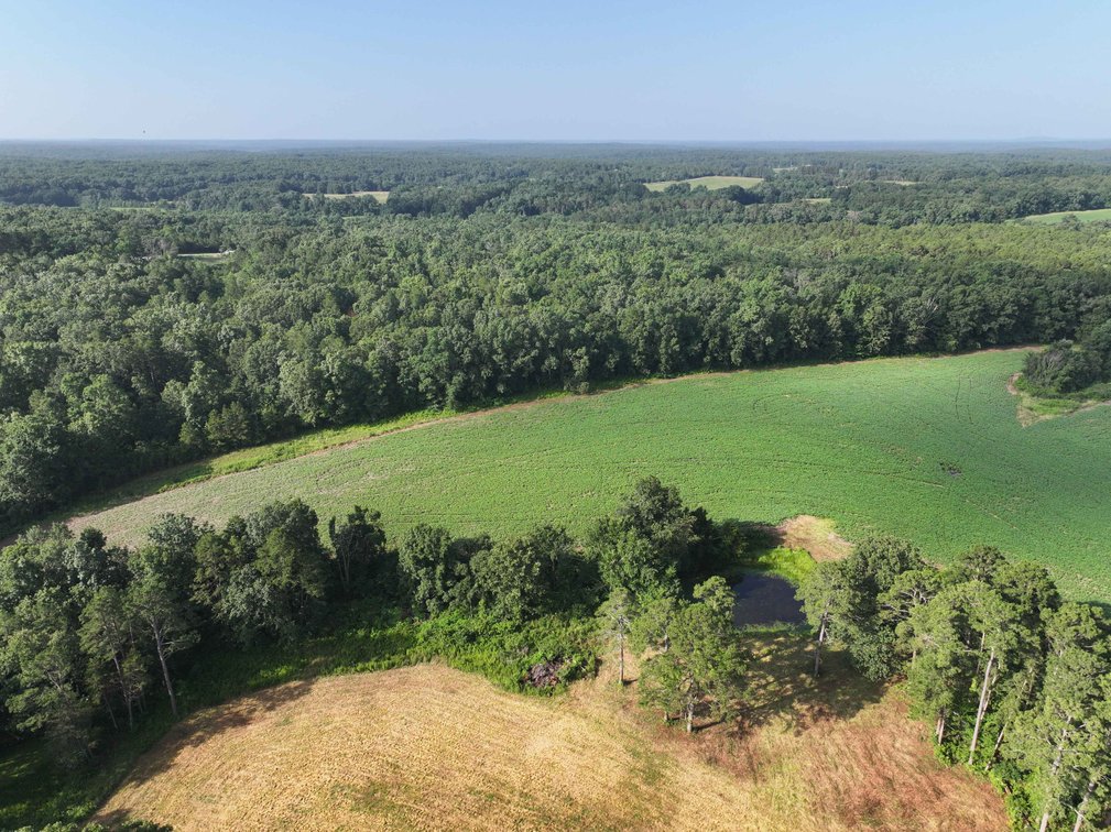 Image for 29259 State Highway O, Marquand, MO 63655