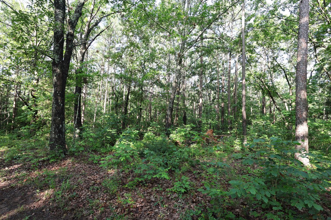 Image for 29259 State Highway O, Marquand, MO 63655